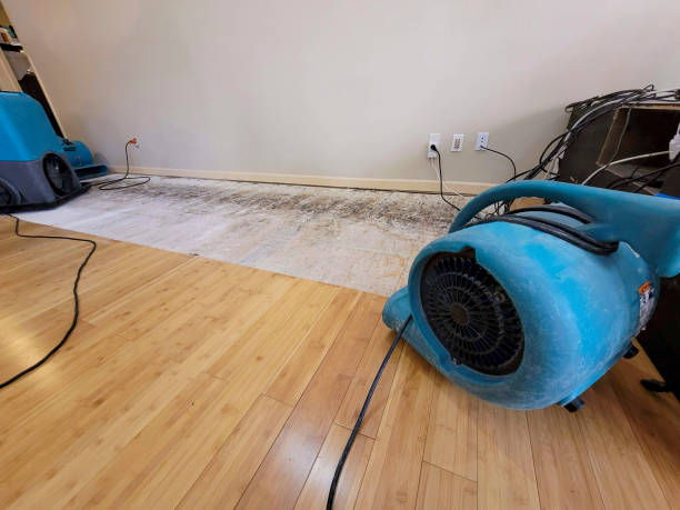 Professional Water Damage Repair technician working in Attleboro Falls, MA